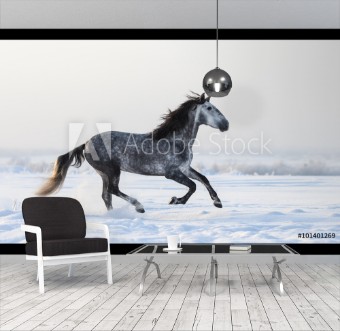 Bild på Gray Andalusian horse galloping on meadow in fresh snow